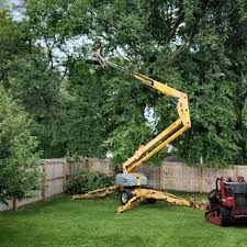 Mulching Services in Portsmouth, NH